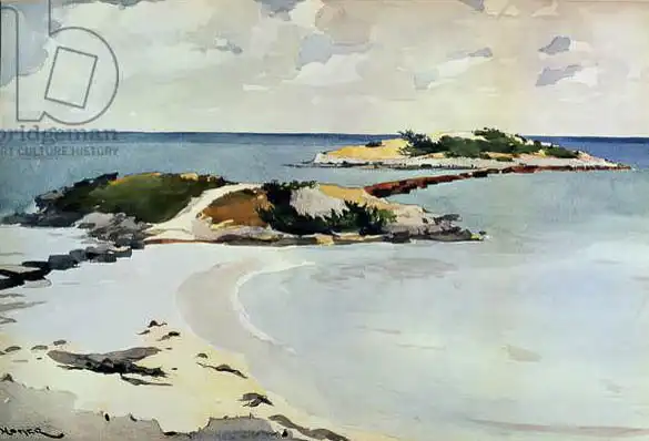 Homer, Winslow: Gallows Island